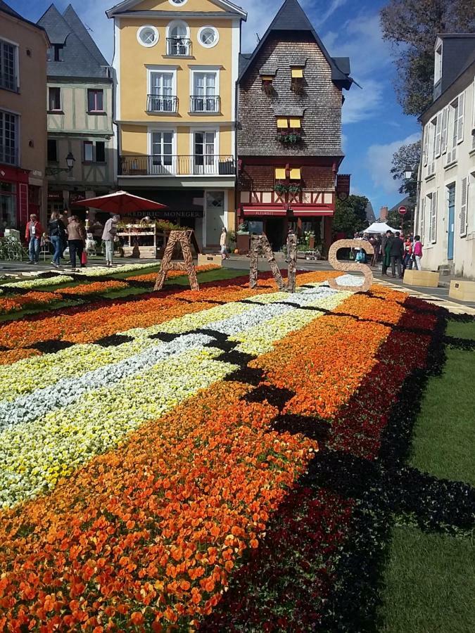 Les Tulipiers, Parking Sécurisé, Lit Queen-Size, bord de Sarthe Le Mans Esterno foto